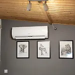 Orfui Kishaz Orfű