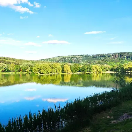 Orfui Kishaz * Orfű